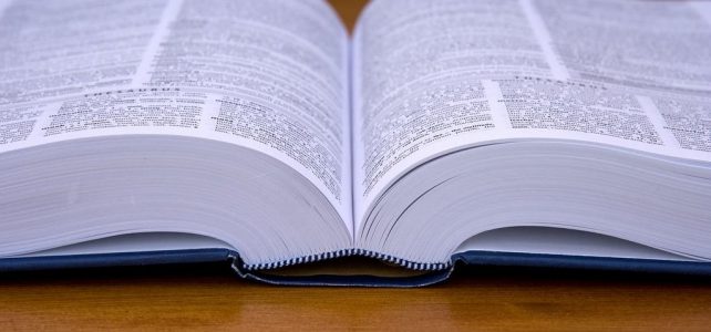 Что вспомнить из «теории», чтобы улучшить правописание